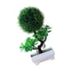 thumbnail image 3 of Jardinera Artificial Decorativa para Sala de Estar, Regalo para Exteriores, 3 of 9