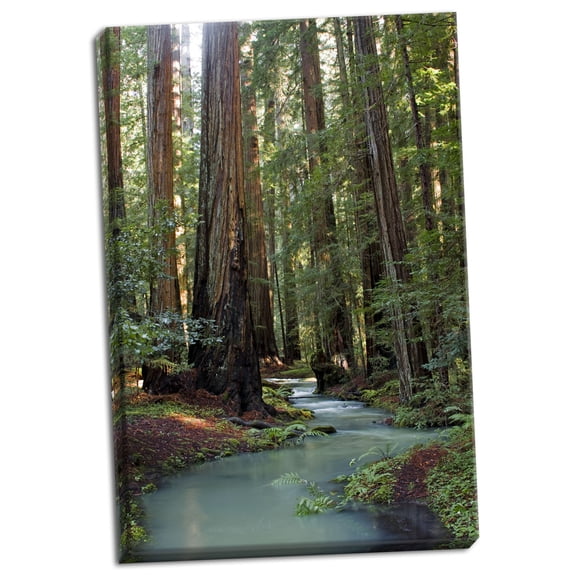 Gango Home Decor Redwood Forest III by Rita Crane (Ready to Hang); One 24x36in Hand-Stretched Canvas