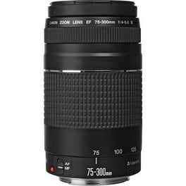Canon EF-S 55-250mm f/4.0-5.6 IS II Telephoto Zoom Lens