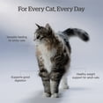 thumbnail image 4 of Good Gravy - Chicken Coated in Bone Broth - Dry Cat Food, 4 of 5