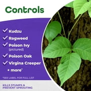 Bonide Stump-Out Stump Killer Concentrate 8 oz