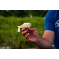 thumbnail image 4 of 6th Sense – Sweep 6 Weedless Soft Plastic Swimbait, 6in. (1.2oz.), Subtle Tail Action, 4 of 11