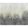 thumbnail image 2 of Goldberger, Jennifer 32x26 Black Ornate Wood Framed with Double Matting Museum Art Print Titled - Glitter Swirl I, 2 of 4