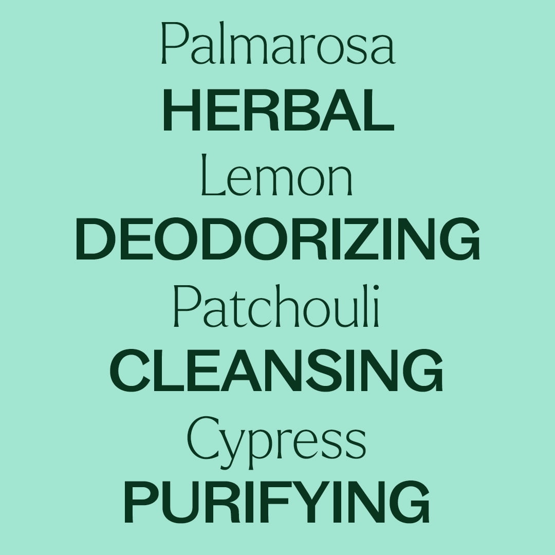 Plant Therapy Deodorizing Essential Oil Blend 100 mL (3.3 oz) 100% Pure, Undiluted, Natural Aromatherapy