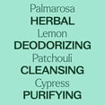 thumbnail image 4 of Plant Therapy Deodorizing Essential Oil Blend 100 mL (3.3 oz) 100% Pure, Undiluted, Natural Aromatherapy, 4 of 9