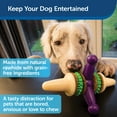 thumbnail image 3 of PetSafe Busy Buddy Jack, for Tough Dog Chewers, Includes Treat Rings, Medium, 3 of 8