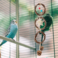 thumbnail image 4 of Bird Shredding Toys Parrot Bird Toys Perches Fun Chew Teething Large Parrot Chewing Bird Cage Accessories for Macaws, 4 of 8