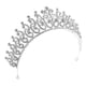 thumbnail image 1 of Horquilla elegante de de la astilla de nupcial de de cristal para el banquete de boda Zulema Tiaras nupcial Crystal Hairpin, 1 of 8