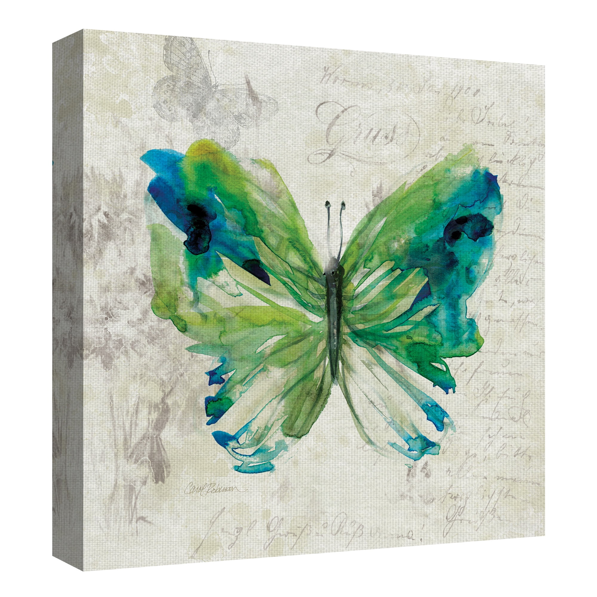 Butterfly Sketch I & II by Carol Robinson Canvas Art Painting Print Set of 2
