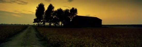 Silhouette Of A Far