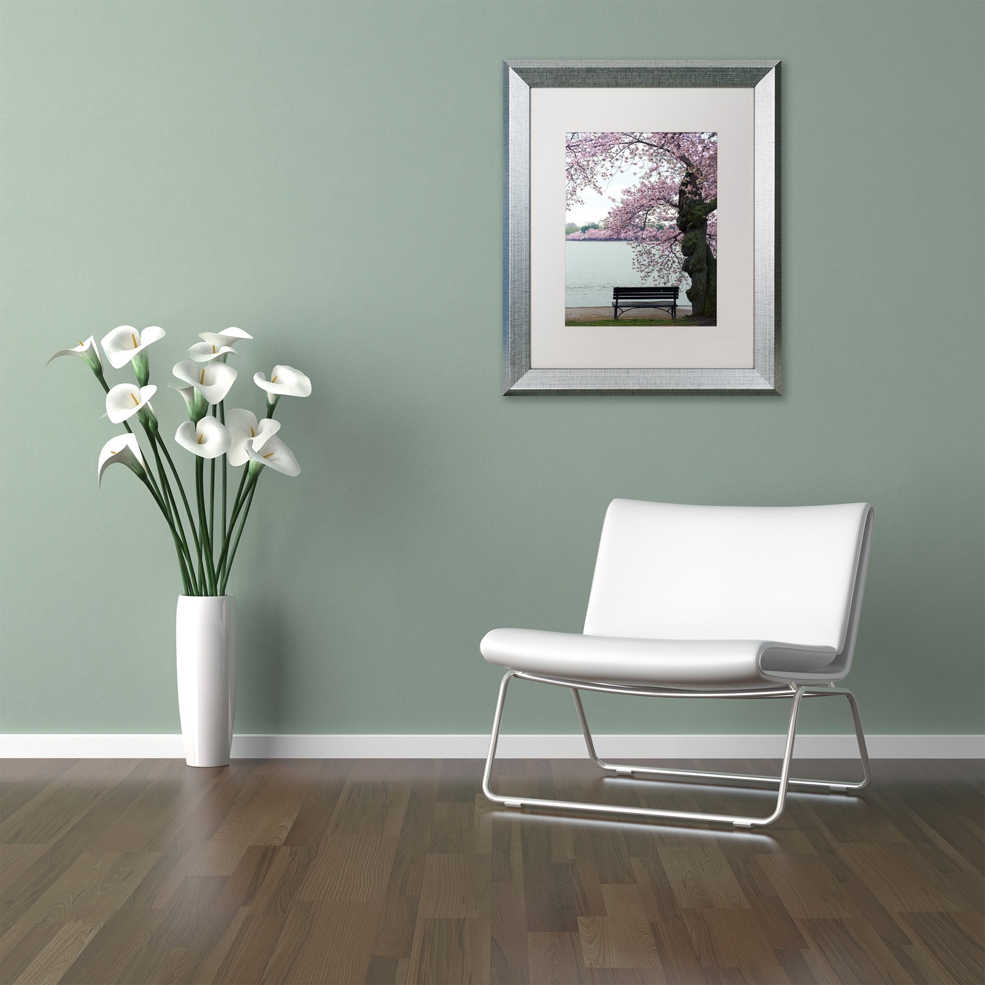 Trademark Fine Art "Tranquility" Canvas Art by CATeyes, White Matte, Silver Frame