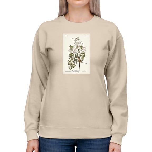 White-Eyed Flycatcher Sweatshirt Women -John James Audubon Designs, Female 3X-Large