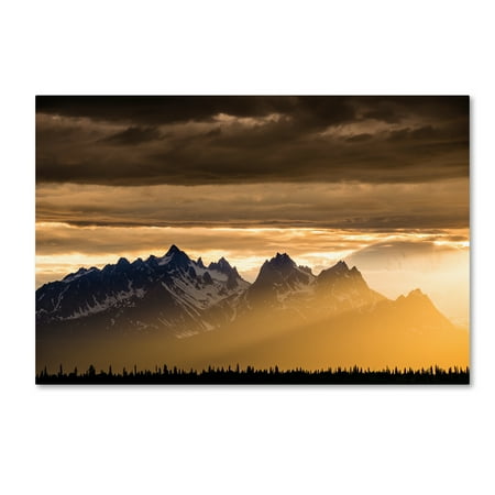 Trademark Fine Art 'Denali National Park, Alaska' Canvas Art by Dan Ballard