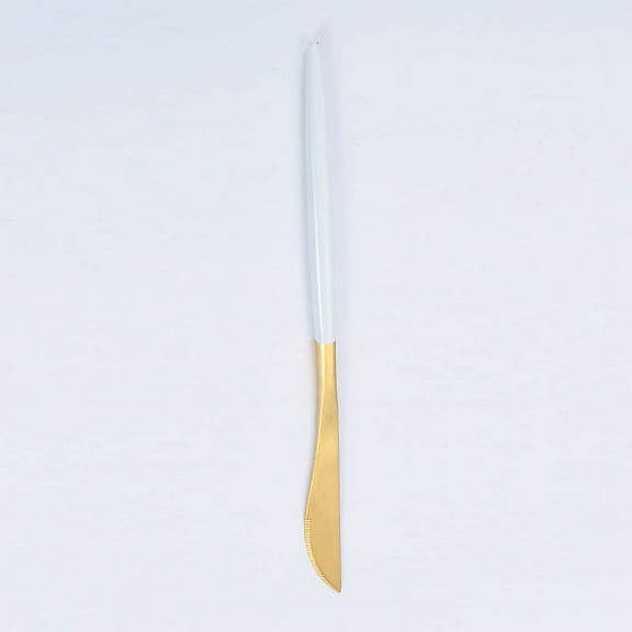 Nvzi-c 4Pcs Stainless Steel Dinner Knives Knives for Home Restaurant Hotel-Gond White