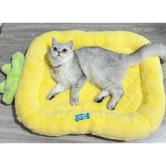 Cat Mat Pet Cat Sleeping Cushion Cat Bed Pillow Mattress Pet Floor Mat Kennel Winter Warm Dog Mat Pet Supplies Accessories (Yellow,M)