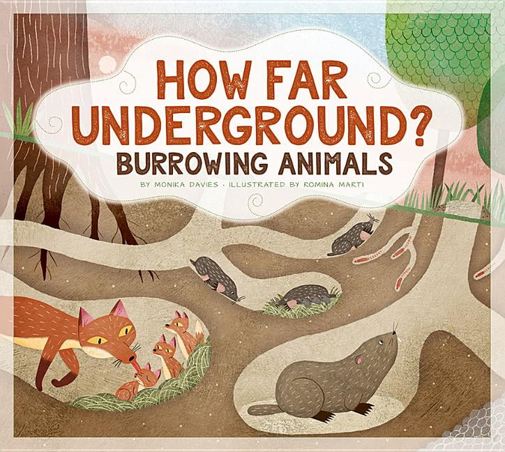 Animals Measure Up: How Far Underground? : Burrowing Animals (Paperback) -  