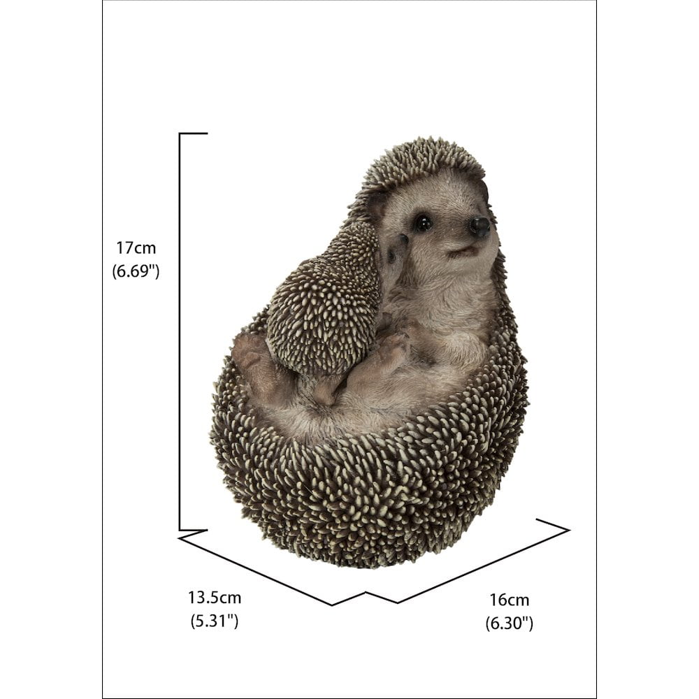 Mother & Baby Hedgehogs on Back