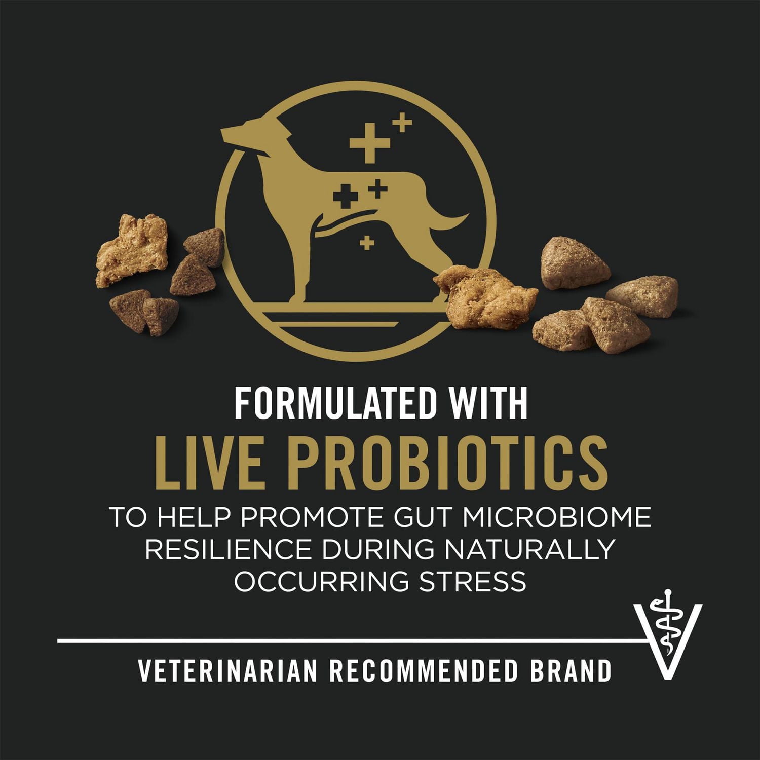 Purina Pro Plan Complete Essentials Bouchées à la viande Poulet et riz, Nourriture Sèche pour Chien