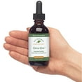 thumbnail image 4 of Native Remedies Circu-Live - All Natural Herbal Supplement Promotes Blood Flow and Healthy Circulation, 2 Fl oz., 4 of 6
