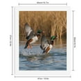 thumbnail image 2 of Paint by Numbers Kit for Adults, Ducks Splashing Flight Water Ripples Paint by Numbers, Easy Paint by Numbers Kit for Adults Beginner, DIY Adult Paint by Number Kits on Canvas, 12x16in Home Decor, 2 of 7