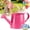 Rose Red, variant on White Watering Can Metal 1L Vintage Garden Watering Can, Durable Galvanized Steel with Long Spout for Precise Pouring, Home Garden Decor for Flowers & Plants