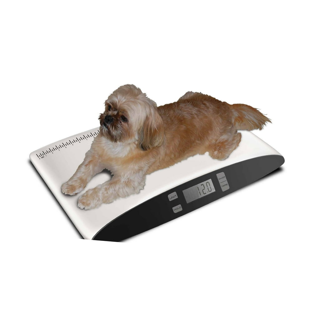 PetEdge Dealer Services Precision Digital Pet Bathroom Scale, Small