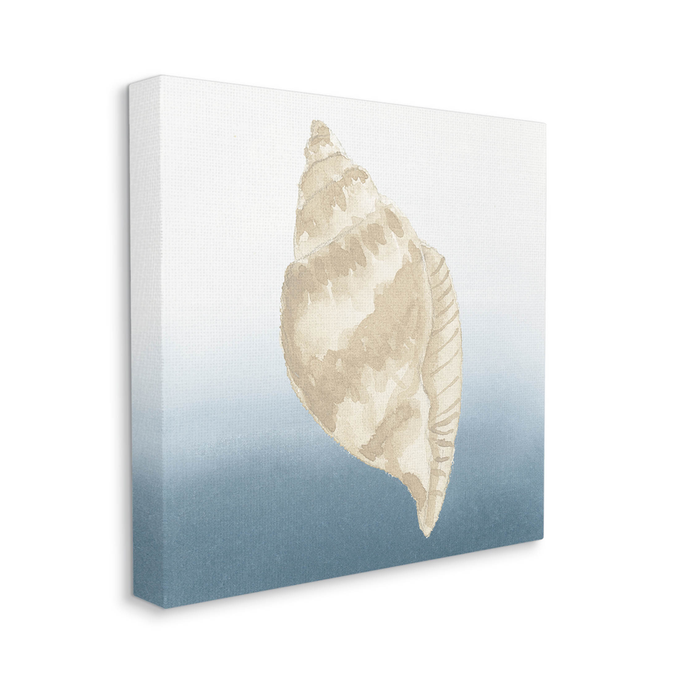 Casual Conch Nautical Life Animals & Insects Graphic Art Gallery Wrapped Canvas Print Wall Art