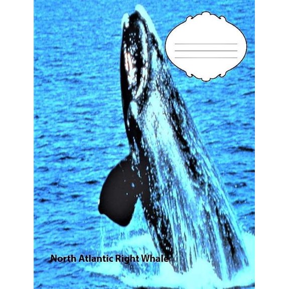 North Atlantic Right Whale Wide Ruled Line Paper Composition Book : Whale fans, Elementary Children, Teen jounrals, Large handwriting, Visual impaired (Paperback)