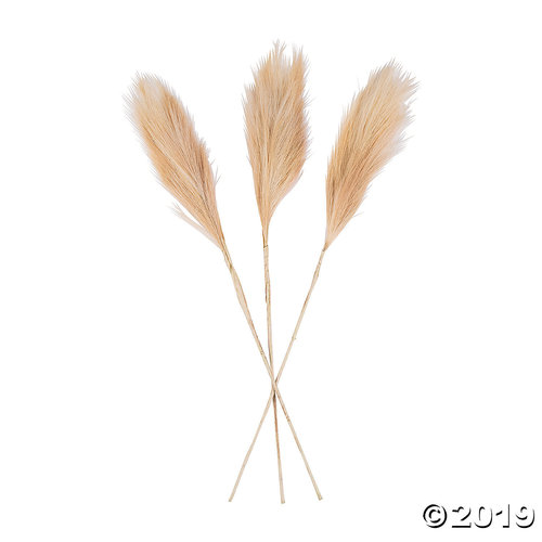 Pampas Grass