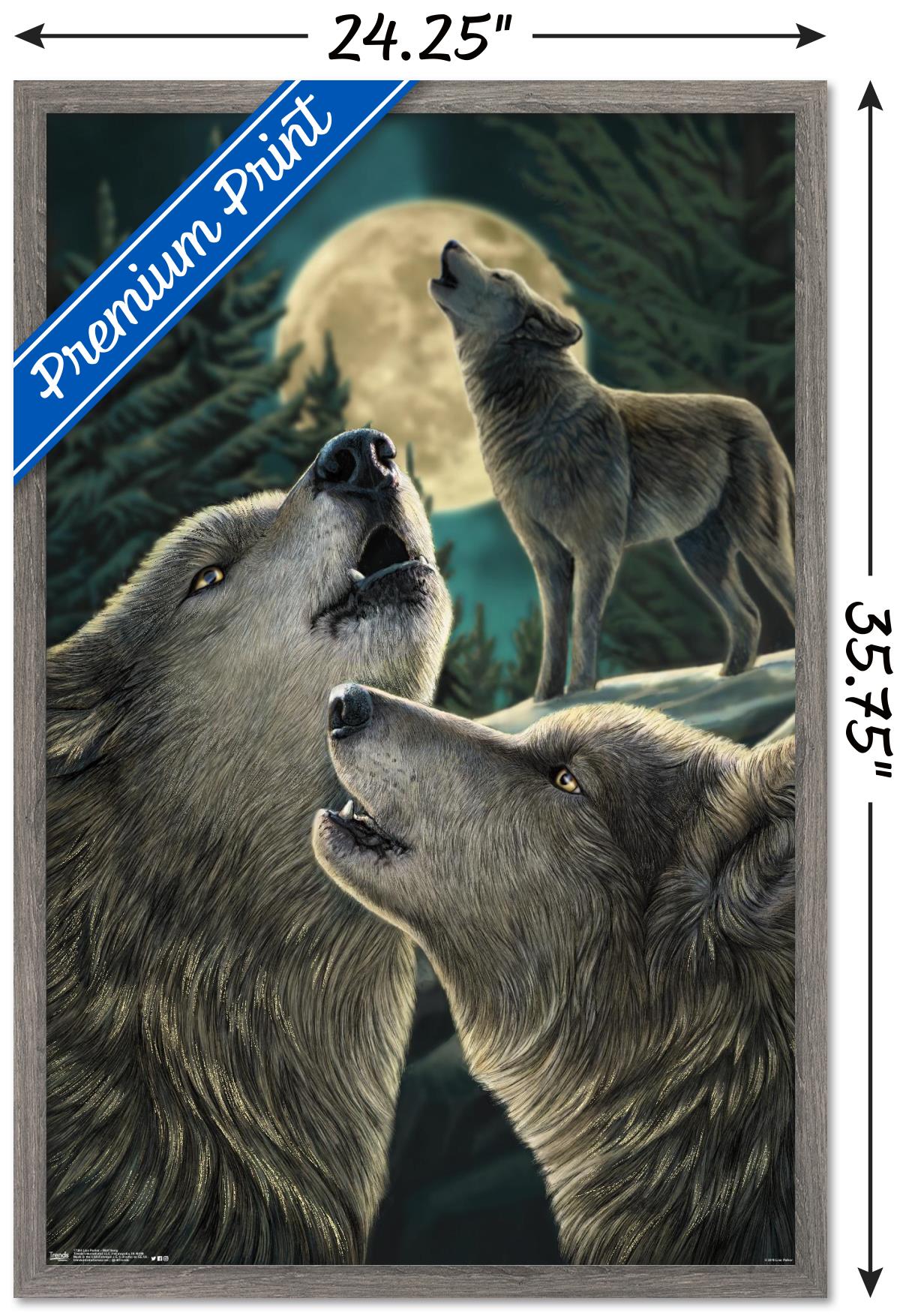 Lisa Parker - Wolf Song Wall Poster, 22.375" x 34", Framed