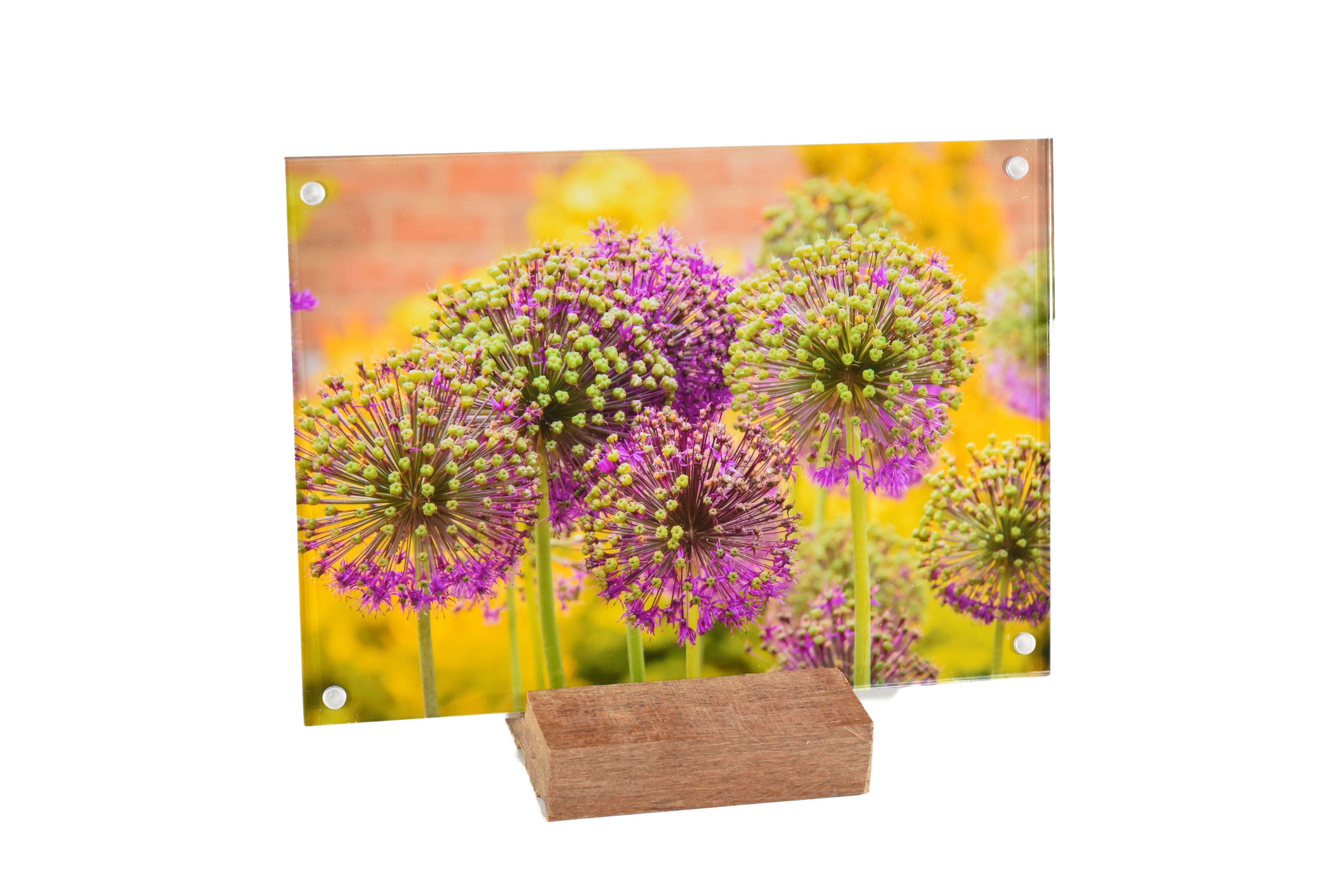 2 Pack Kramerica Acrylic 5X7 Clear Acrylic Picture Frames Reclaimed Oak