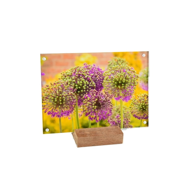 2 Pack Kramerica Acrylic 5X7 Clear Acrylic Picture Frames Reclaimed Oak