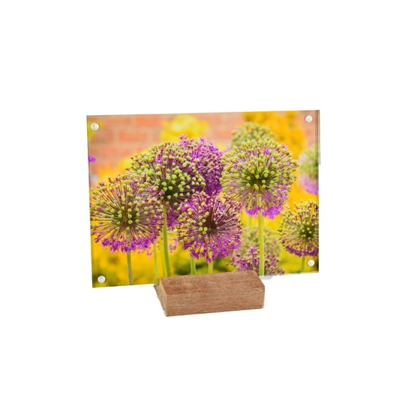 2 Pack Kramerica Acrylic 5X7 Clear Acrylic Picture Frames Reclaimed Oak Stand, Magnetic Picture Frames, Acrylic Photo Frames