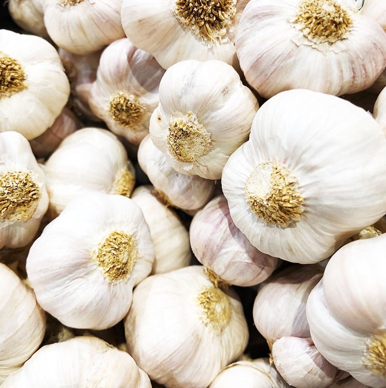 8oz Garlic Bulbs for Planting - Multi Variety Selection - Chesnok Red, Music, Italian, German, Russian