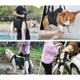 thumbnail image 4 of Dog Lift Harness for Large Dogs Sling for Whole Body Dog Legs Support Carriers Harness for Elderly Injured Disabled Dogs, 4 of 15