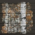 thumbnail image 2 of Allen, Kimberly 12x12 Black Ornate Wood Framed with Double Matting Museum Art Print Titled - Aspen Wood 1, 2 of 4