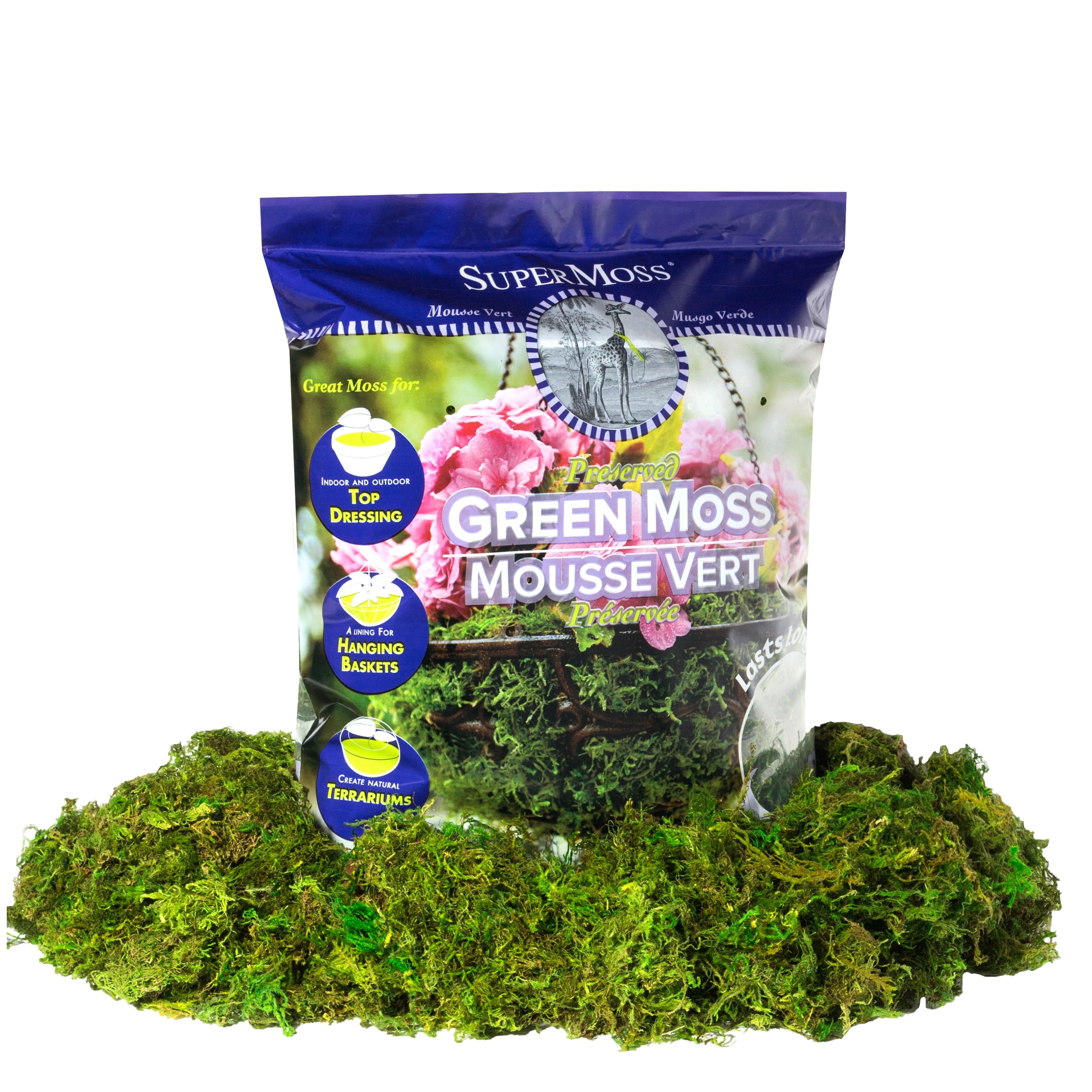 SuperMoss Natural Preserved Spanish Moss - 24 qt