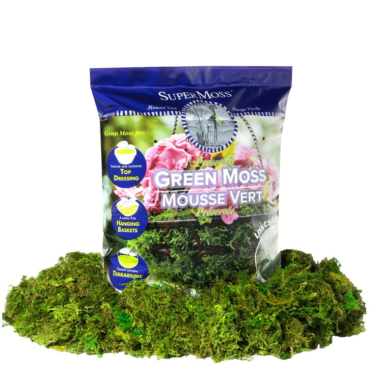 SuperMoss® Preserved Green Moss 