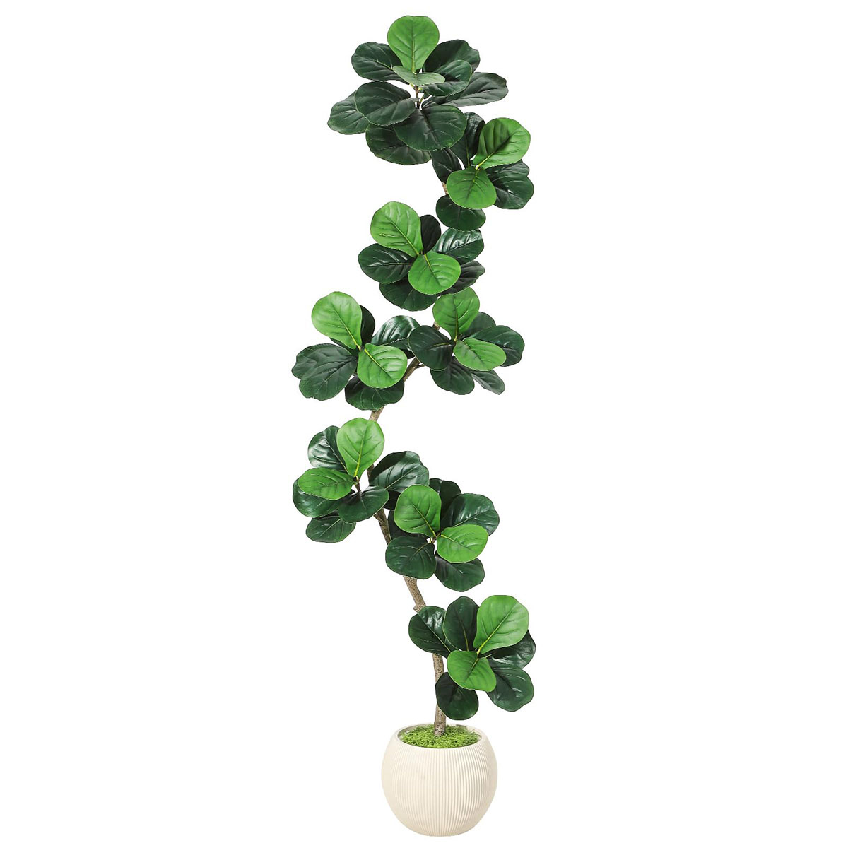 Ataucjin 5ft Fiddle Leaf Fig Artificial Tree, Faux Plants Indoor with Moss&White Planter, Fake Rubber Tall Fake Floor Plant in Pot,Artificial Trees for Home Office Living Room Decor