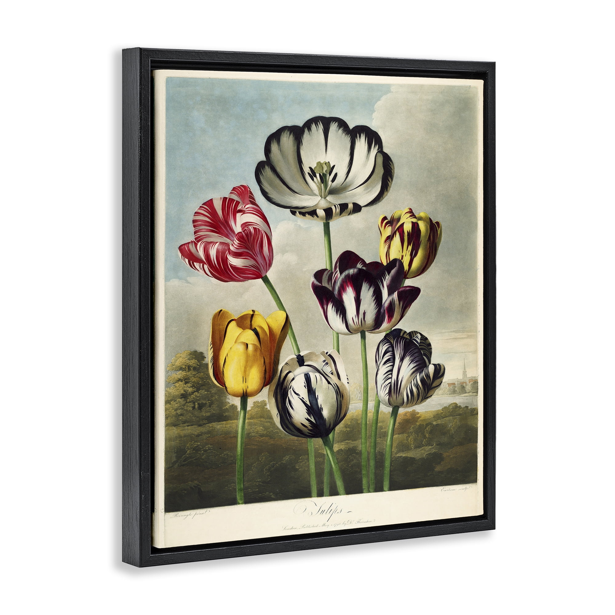 Stupell Industries Tulips From The Temple Black Framed Floater Canvas Wall Art, design by Print Collection