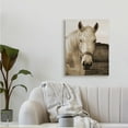 thumbnail image 5 of Stupell Industries Rustic Sepia tone Portrait of White Horse,30 x 40,Designed by Suzanne Foschino, 5 of 5