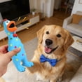 thumbnail image 2 of TIELUTT Squeaky Latex Chicken for Large Interactive Stress Squeaker Chew Aggressive Rope for Large Dogs Water Bottle Cover Dog Monkey Dog for Medium Dogs Dog Squeaker Mat Small Dogs Packs, 2 of 6