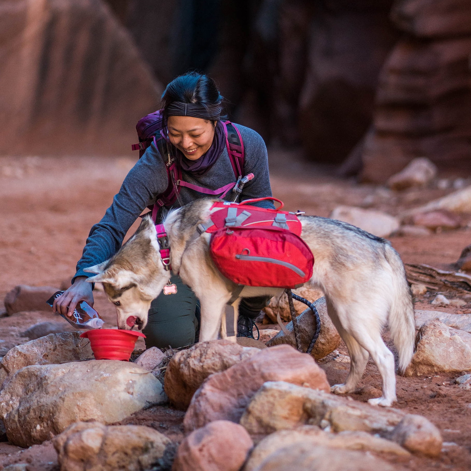 Kurgo Baxter Dog Backpack, Dog Saddlebag, Dog Pack, Adjustable Saddlebag for Hiking, Walking, Running, Camping, Chili Red/Barn Red