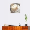 thumbnail image 2 of Cuadro Decorativo | Fine Art Tj | Conchas Ii Por K. Nari - 99 x 99 cm, 2 of 4