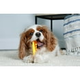 thumbnail image 4 of Hartz Chew 'n Clean Medium Dental Duo Dog Chew Toy and Bacon Flavored Treat in One, 3 Pack, 4 of 8