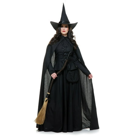 Halloween Wicked Witch Adult Costume