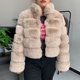thumbnail image 1 of Abrigo de piel sintética para mujer, chaqueta cálida de alta calidad con cuello levantado, moda de invierno, novedad de 2024, 1 of 5
