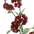 thumbnail image 2 of Burgundy Blossom Spray by Ashland, 2 of 3