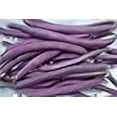 thumbnail image 2 of Graines de Haricot Buisson Bourgogne Royal, 2 of 2