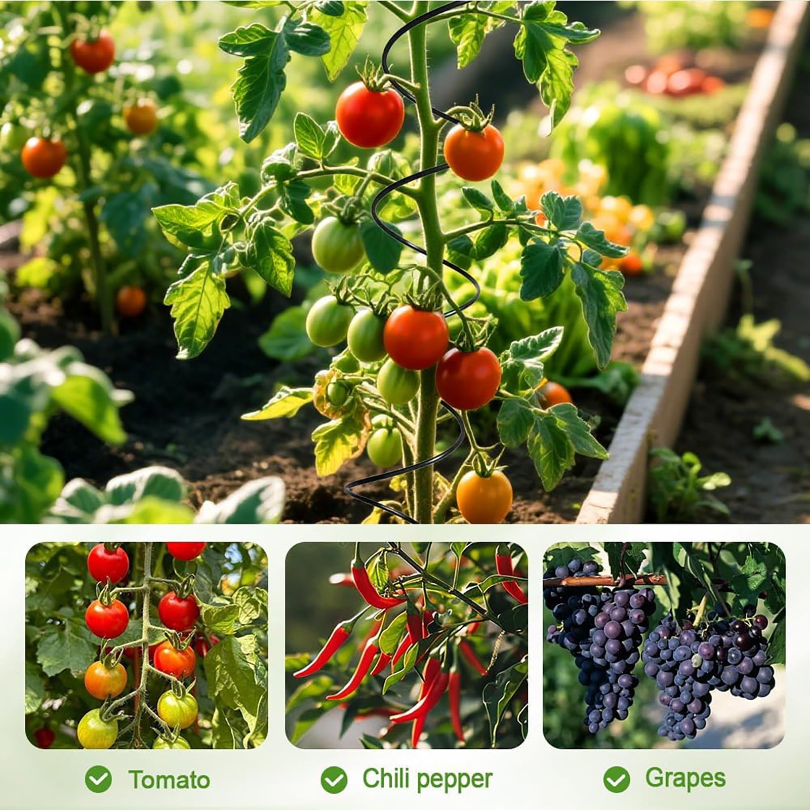VEFSU Clearance Tomato Twist Stake,Metal Spiral Tomato Stakes,Spiral Plant Supports for Tomato Rose Vine, Garden Plant Supports Frame,Tomato Twist